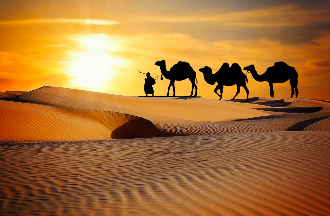 Dubai desert safari