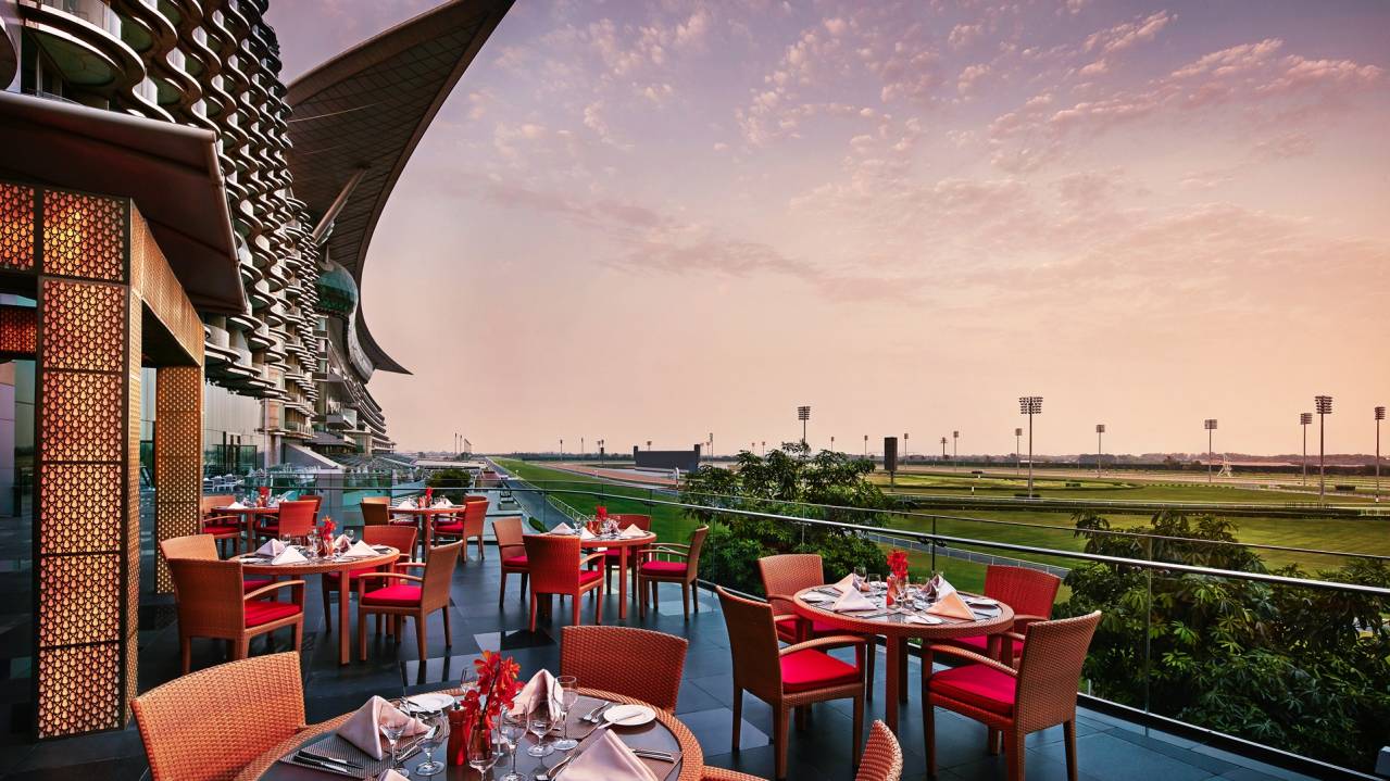 The Terrace